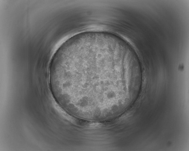 X0000114561467200911091207