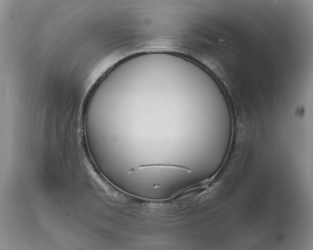 X0000114561469200911091207