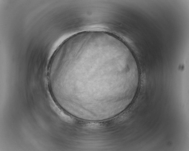 X0000114561470200911091207