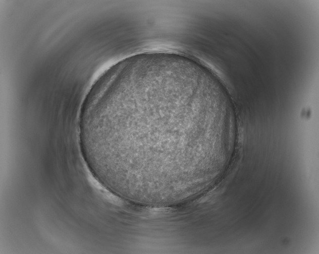 X0000114561471200911091207