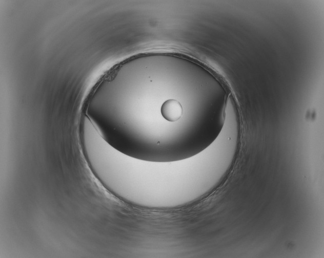 X0000114561472200911091207