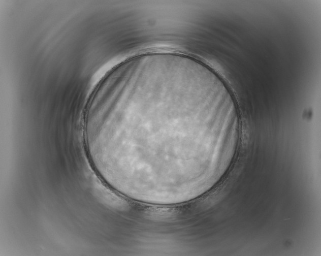 X0000114561474200911091207