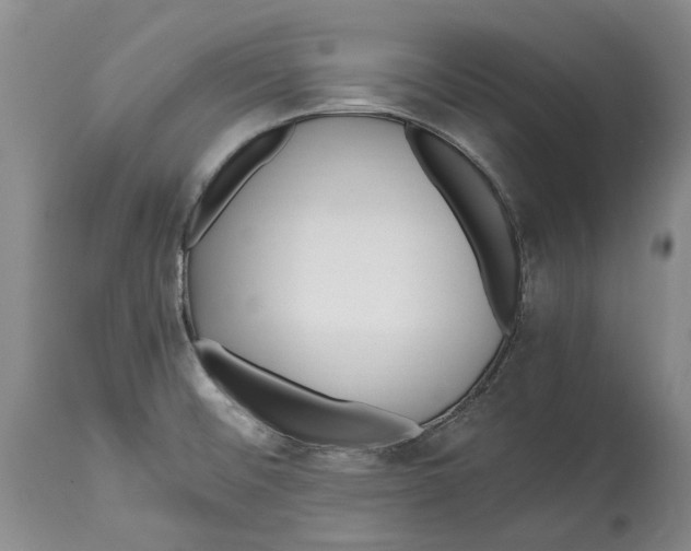 X0000114561476200911091207