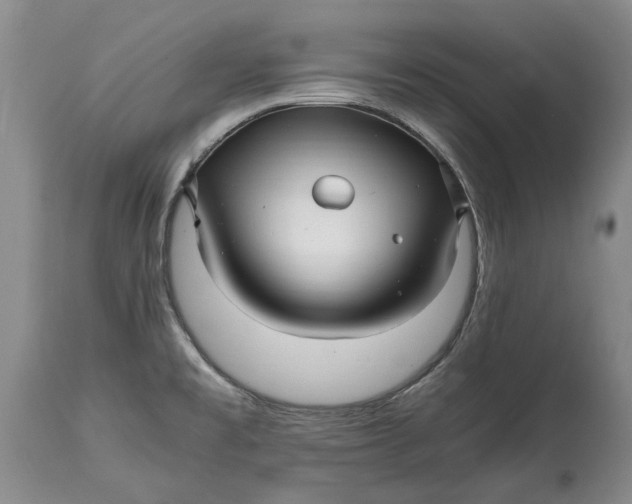 X0000114561477200911091207