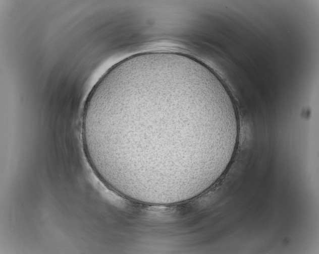 X0000114561478200911091207