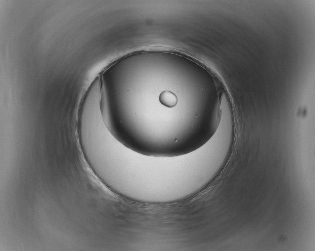 X0000114561480200911091207