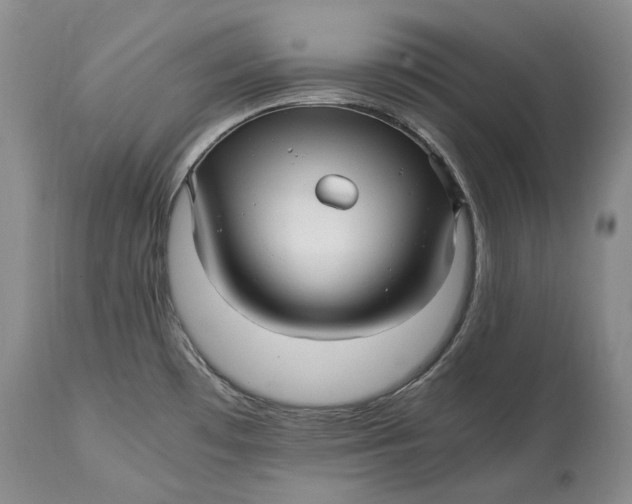 X0000114561481200911091207