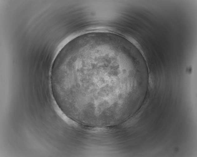 X0000114561482200911091207