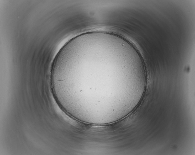 X0000114561483200911091207