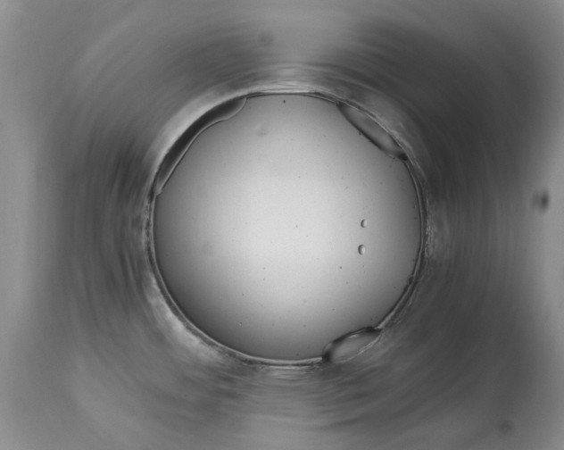 X0000114561484200911091207