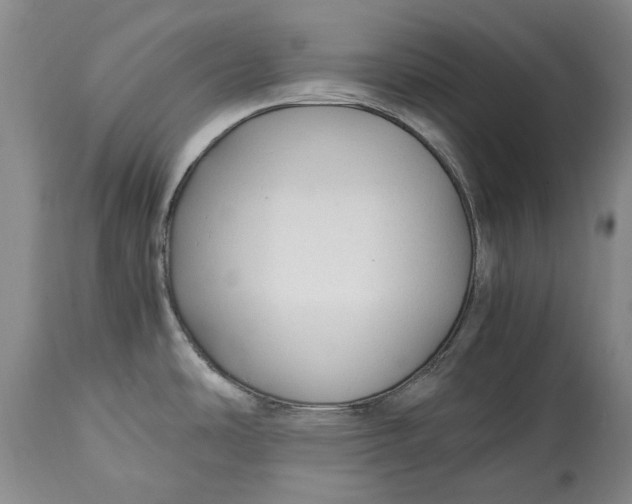 X0000114561486200911091207