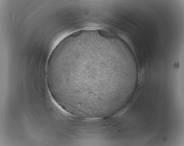 X0000114561487200911091207