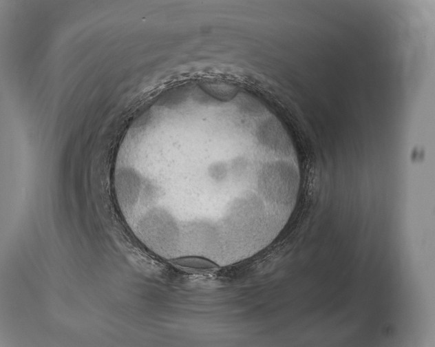 X0000114561489200911091206