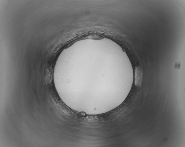 X0000114561491200911091206