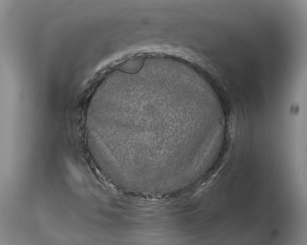 X0000114561494200911091206