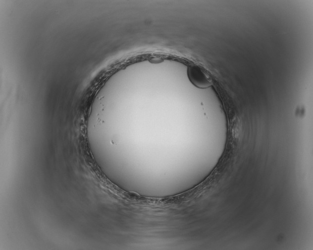X0000114561495200911091206