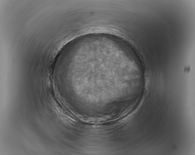 X0000114561497200911091206