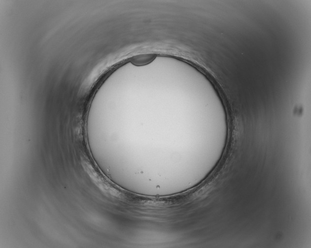 X0000114561499200911091206