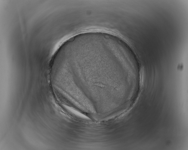 X0000114561501200911091206
