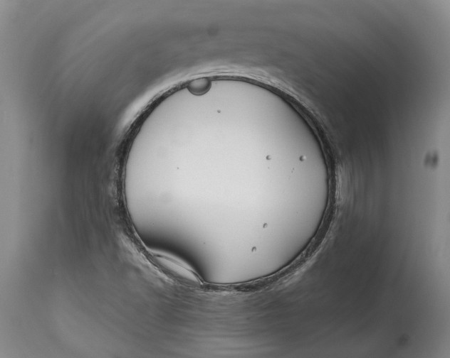 X0000114561502200911091206