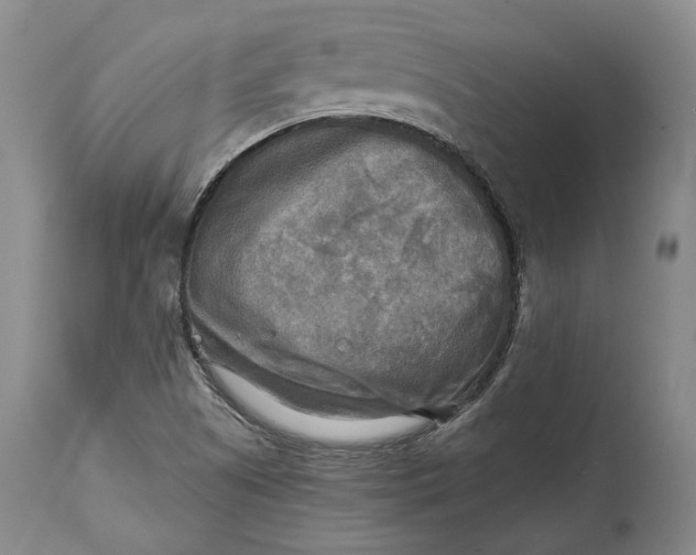 X0000114561505200911091207