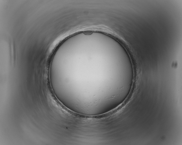 X0000114561506200911091207