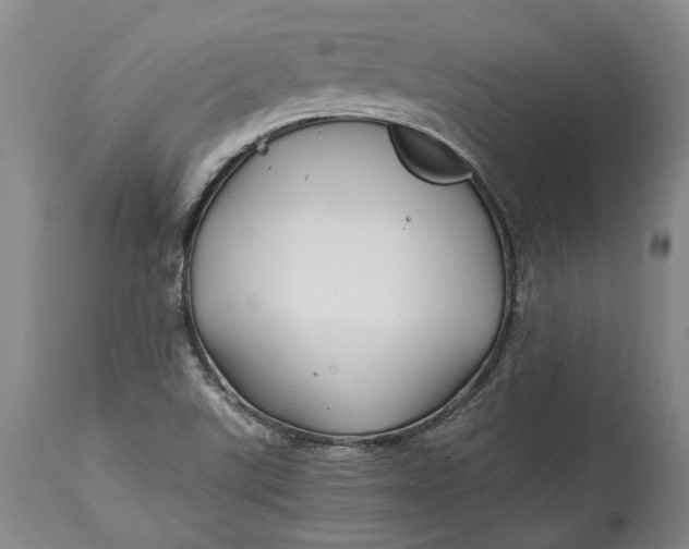 X0000114561507200911091207