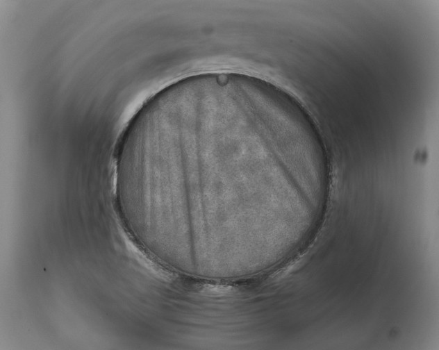 X0000114561509200911091207