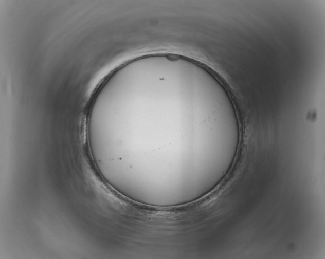 X0000114561510200911091207