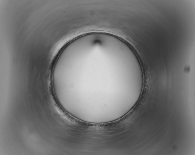 X0000114561511200911091207