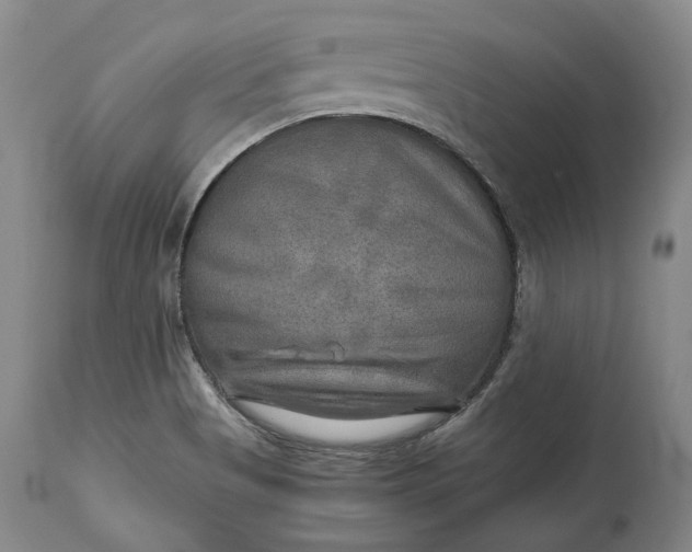 X0000114561513200911091207