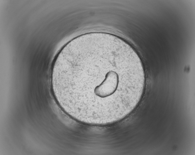 X0000114561514200911091207