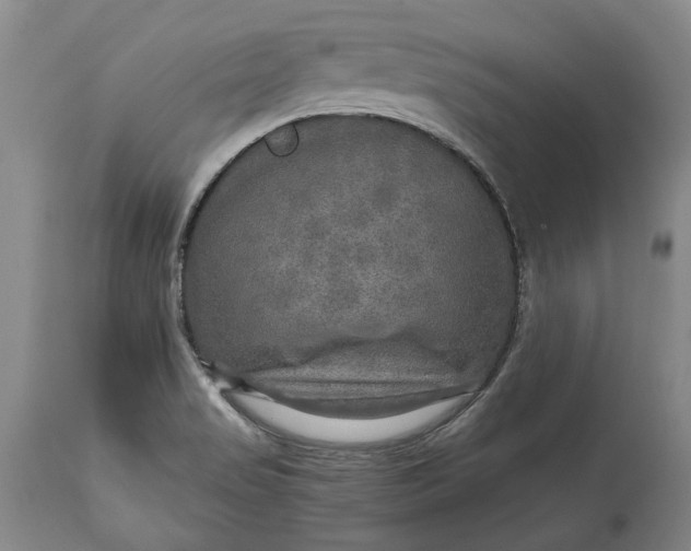 X0000114561517200911091207
