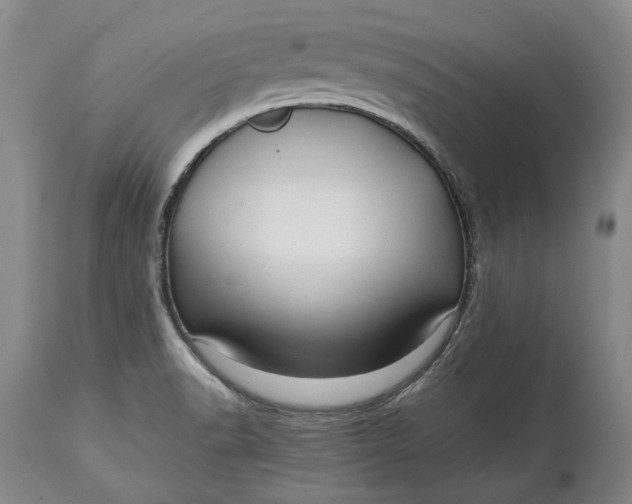 X0000114561518200911091207