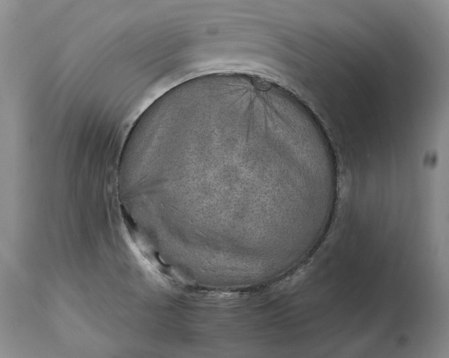 X0000114561521200911091207