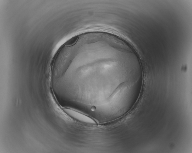 X0000114561522200911091207