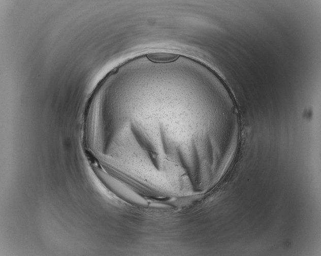 X0000114561523200911091207