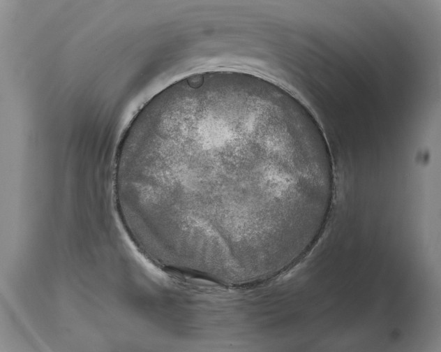 X0000114561525200911091207