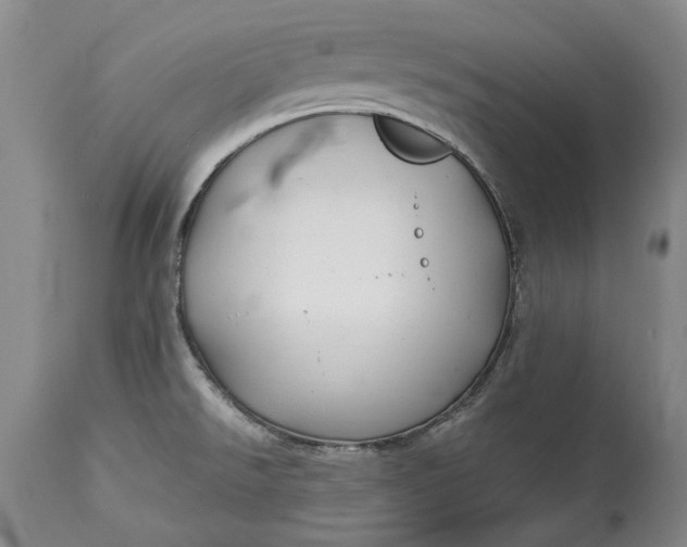 X0000114561526200911091207