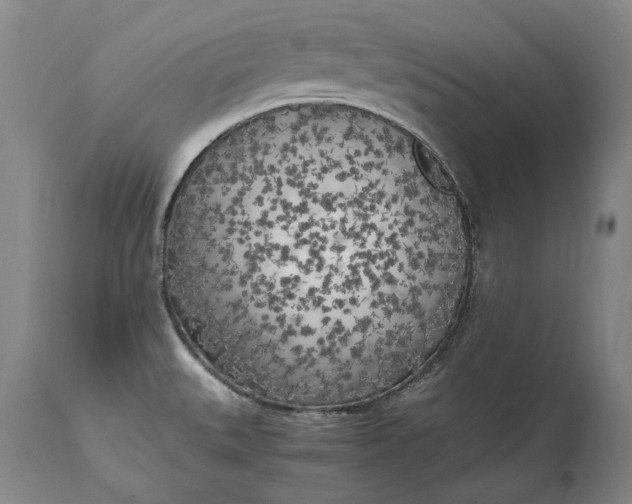 X0000114561527200911091207