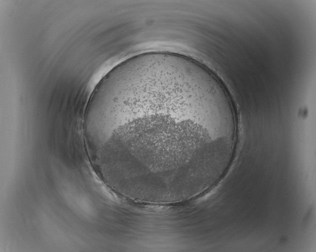 X0000114561529200911091207