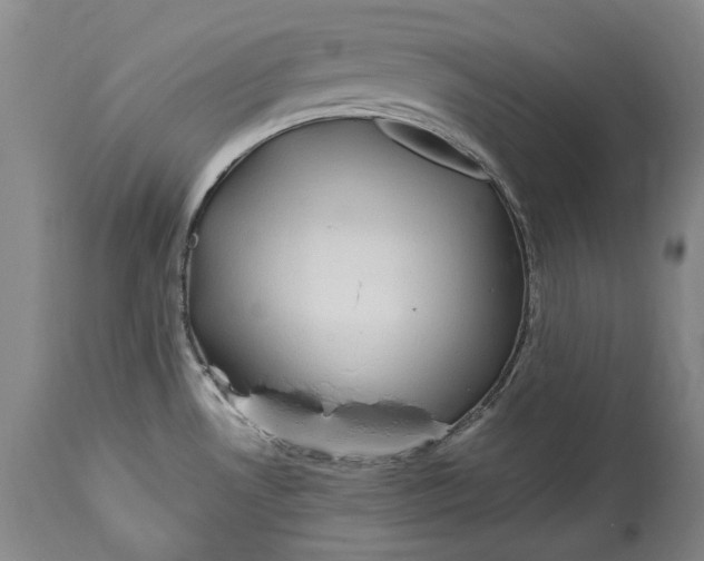X0000114561530200911091207