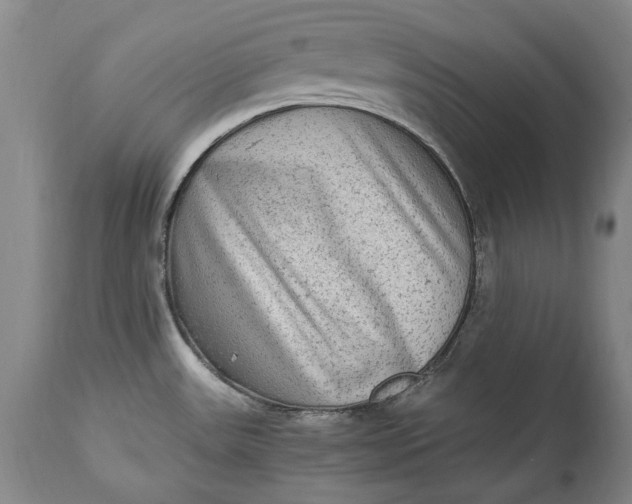 X0000114561531200911091207