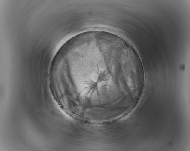 X0000114561533200911091207