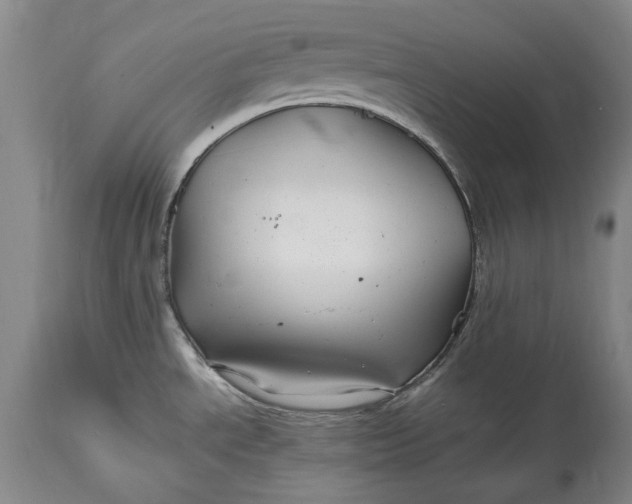 X0000114561534200911091207