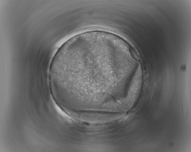 X0000114561535200911091207