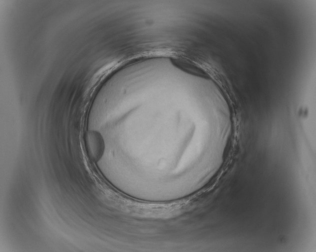 X0000114560001200911161234