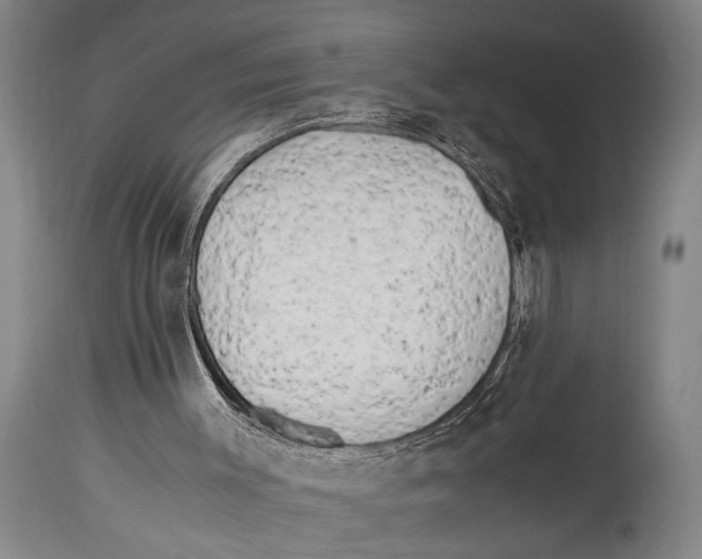 X0000114560003200911161234