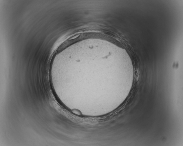 X0000114560004200911161234