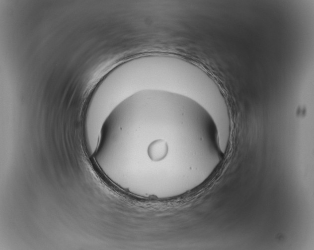 X0000114560005200911161234